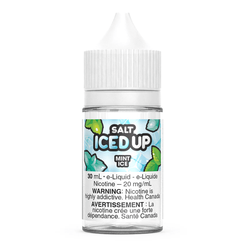 ICED UP - MINT ICE (6MG/30ML)